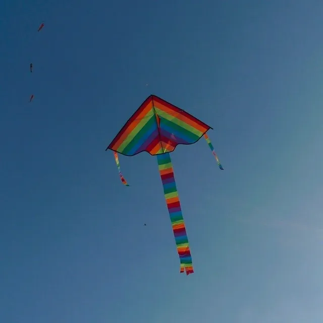 Rainbow flying dragon in the shape of triangle + handle