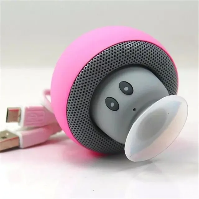 Wireless portable speaker in the shape of J2780