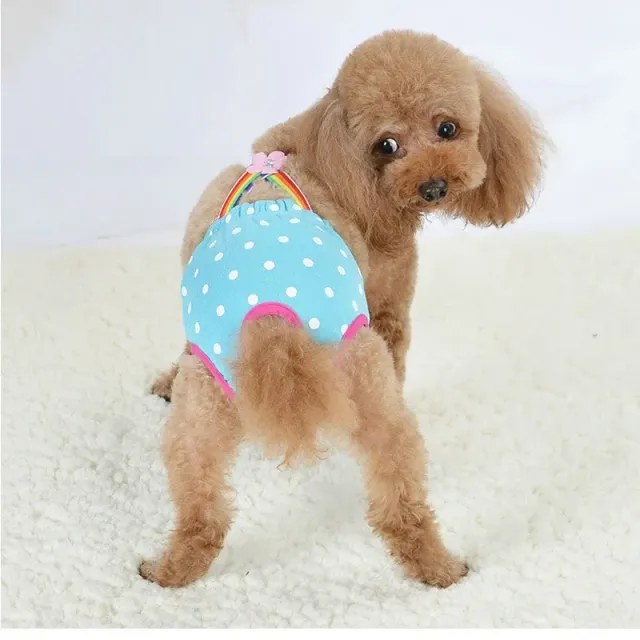 Cute diapers for pets, hygienic, breathable and colorful