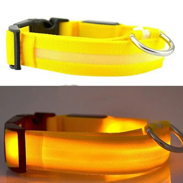 Lighting LED collar for small and medium dogs - for safe night walks