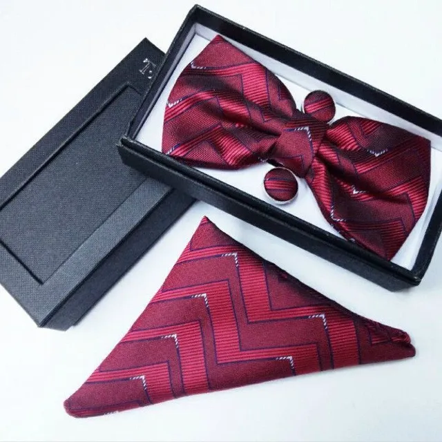 Luksusowy krawat z chusteczką Delikatny