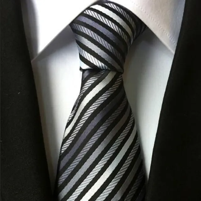 Men's fashion silk tie