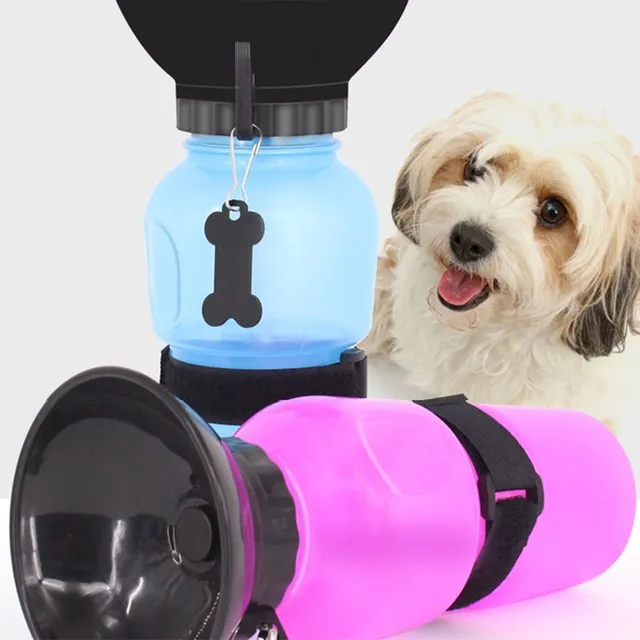 Travel water bottle for dogs