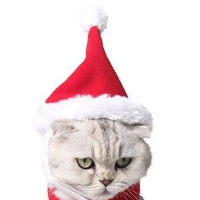 Vianočný klobúk s roztomilou šatkou pre mačky