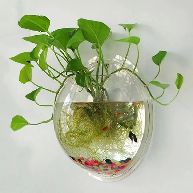 Nástěnný držák na akvarijní rostliny