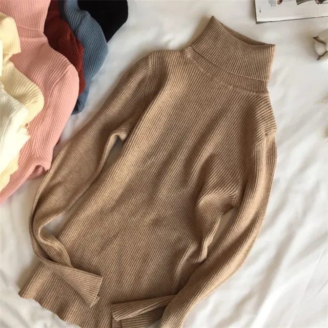 Women's autumn turtleneck