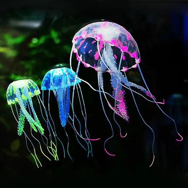 Silicone jellyfish into the aquarium