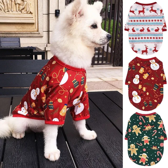 Winter outfit for pet with Christmas pattern