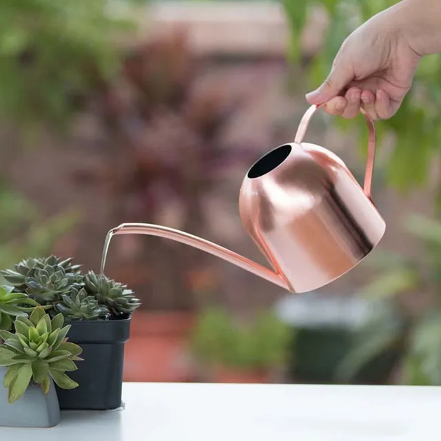 Metal watering can for watering flowers