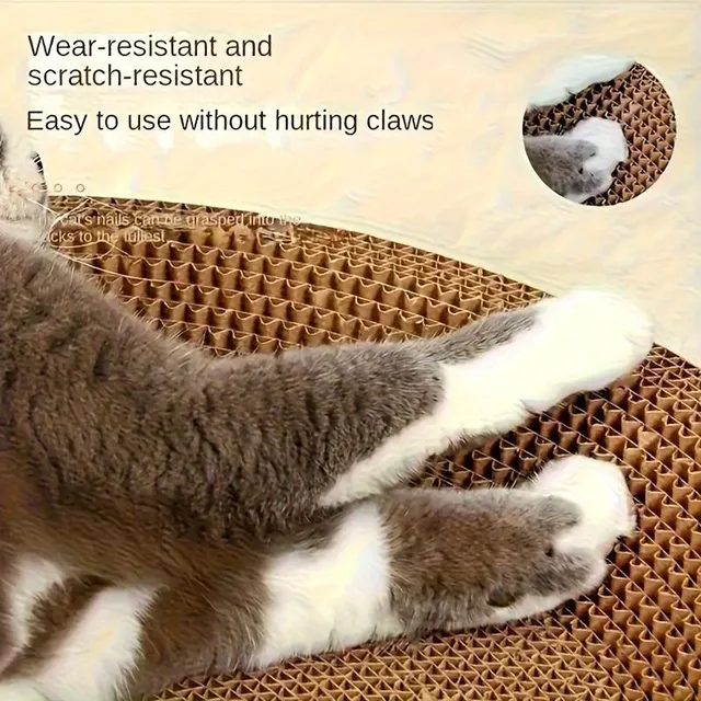 Resistant cardboard scrapers and cozy nest for domestic cats