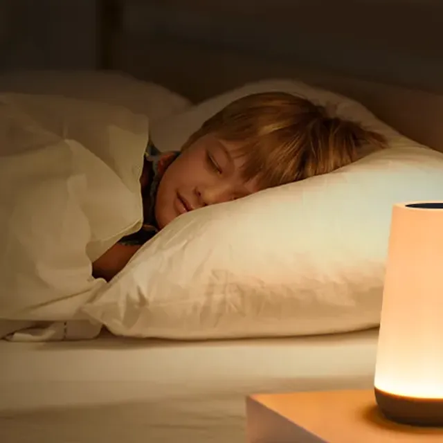 Lampe de nuit LED avec 13 couleurs et télécommande - Lampe de table tactile portable avec chargement USB