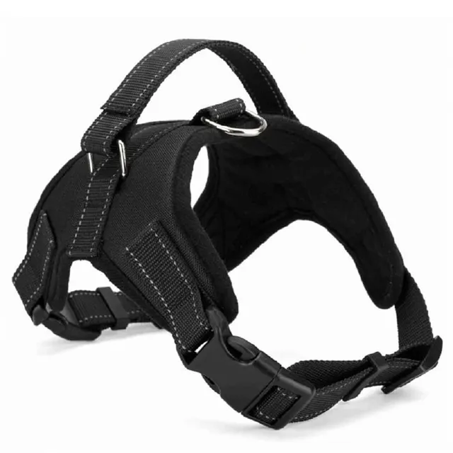 Nylon harness for dog