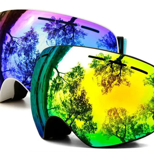 Ski Snowboard Ski Goggles