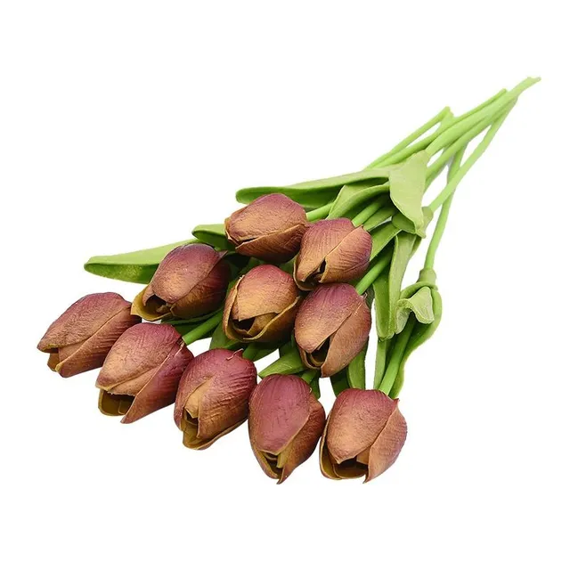 Tulipany 10 sztuk