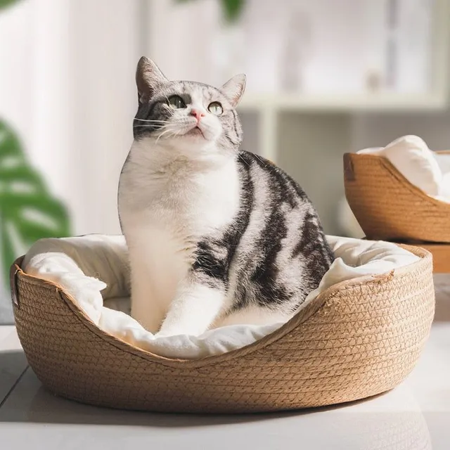 Cuib confortabil din bambus țesut pentru pisici