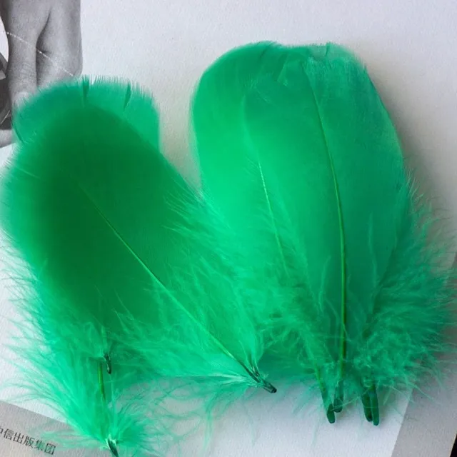 Natural coloured decorative feathers - 100 pcs