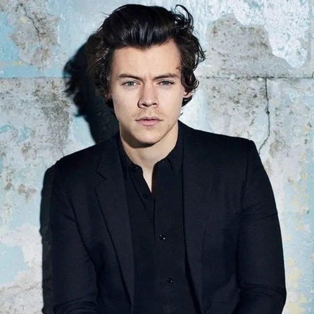 Plakát s britským populárním zpěvákem Harrym Stylesem