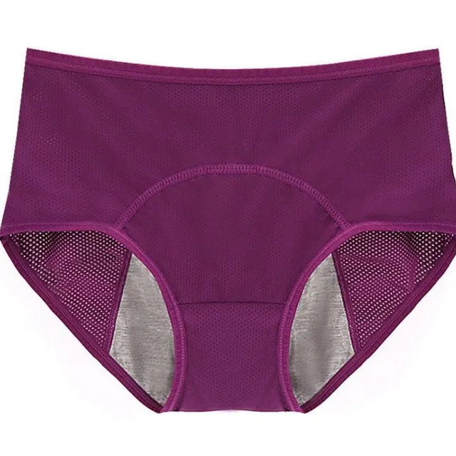 Menstrual waist panties