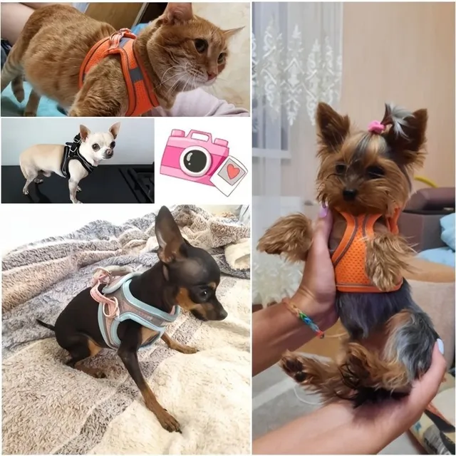 Reflective dog harness with leash - Adjustable vest, breathable collars for small and large dogs.