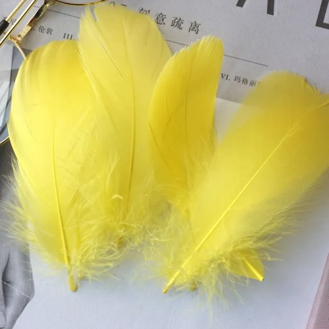 Natural coloured decorative feathers - 100 pcs