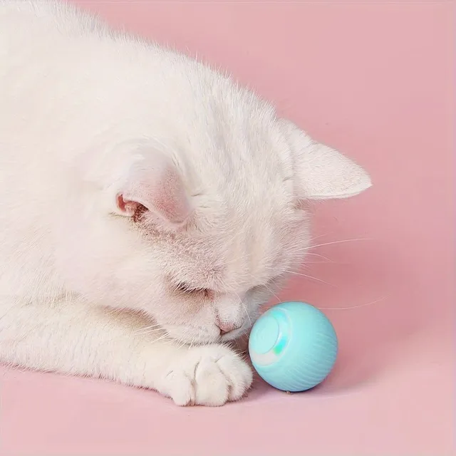 Interactive ball for cats: Self-propelled ball for long moments