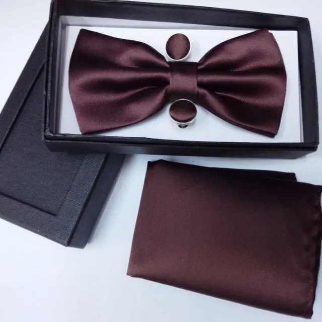 Luxury bow tie with handkerchief Gentle