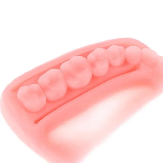 Denture model for stitching training 4 pcs