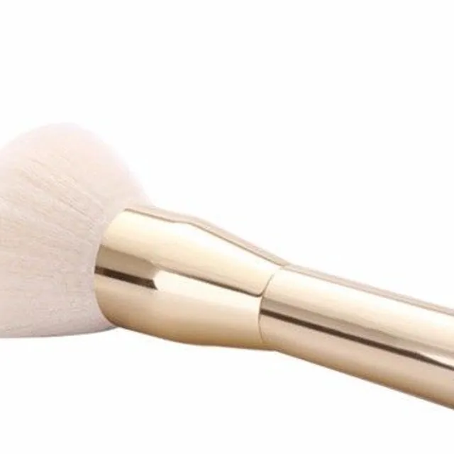 Professional make-up brush