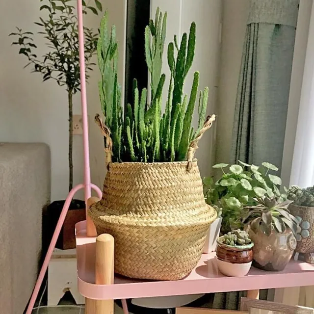 Trendy wicker planter made of rattan
