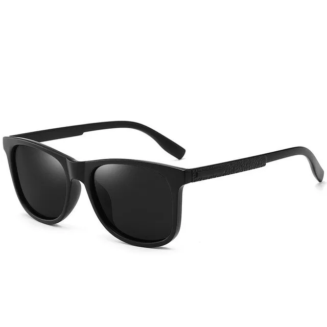 Men's polarized sunglasses Ray