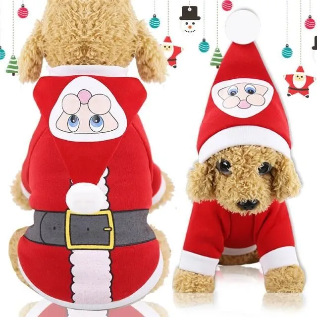 Stroje świąteczne dla psów