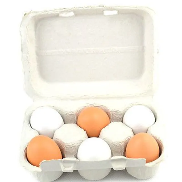 Egg replica for children