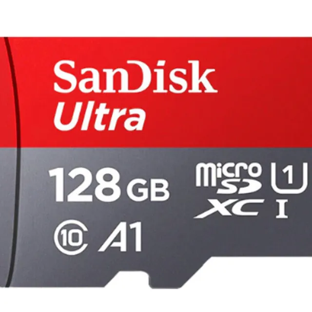 Card micro SD SanDisk