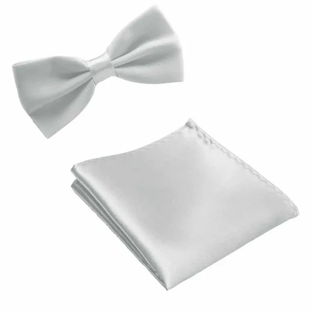 Men's luxury set | Bow tie, Handkerchief silver