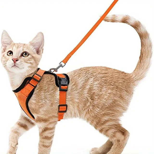 Bezpečnostný postroj a sprievodca pre mačky - Mäkké a nastaviteľné, Ideálne pre chôdzu a objavovanie