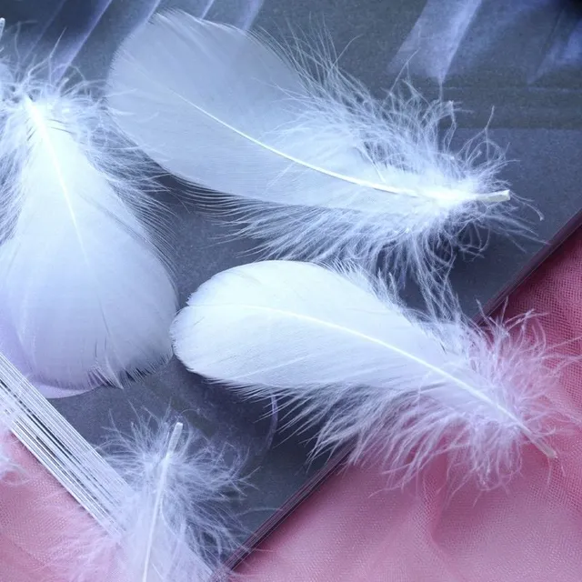 Natural coloured decorative feathers - 100 pcs