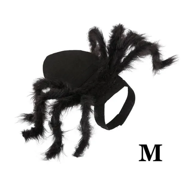 Halloween Spider Cat Costume