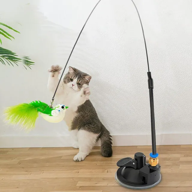 Interactive bicycle for cats for jumping - bird