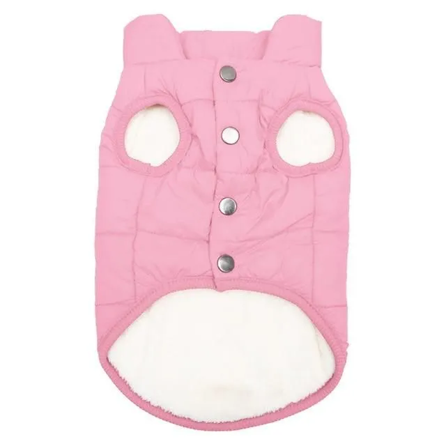 Insulated vest for dogs