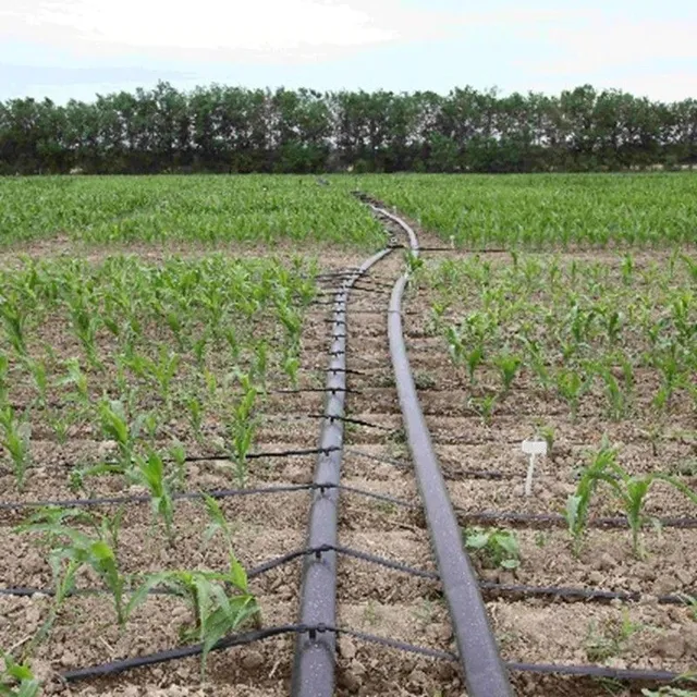 Tuyau goutte à goutte d'irrigation H1046