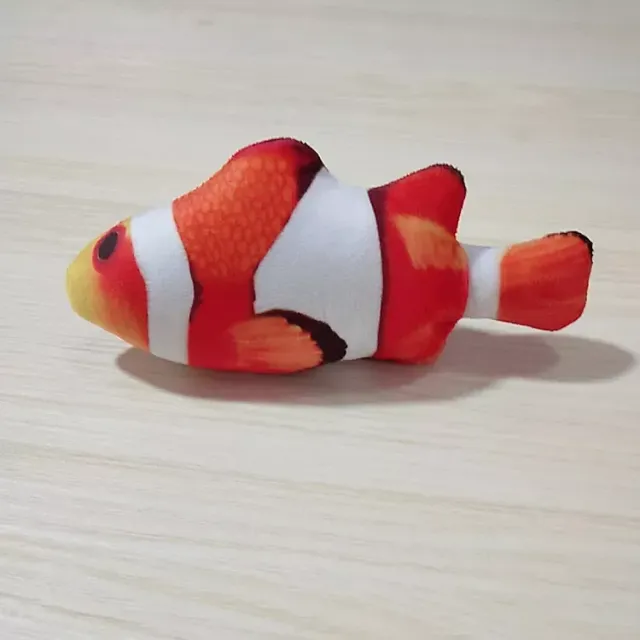 Teddy fish for cats with scratches and cat scrotum