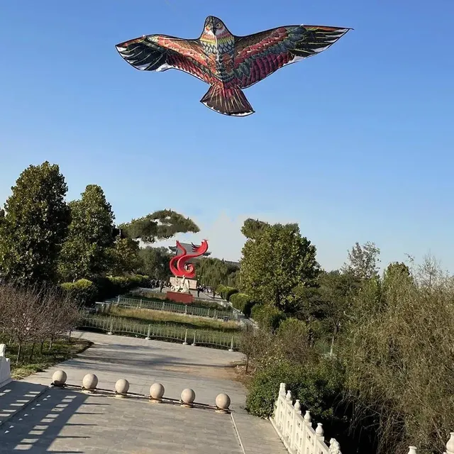 Dětský létající drak s motivem orla - pro větrné počasí