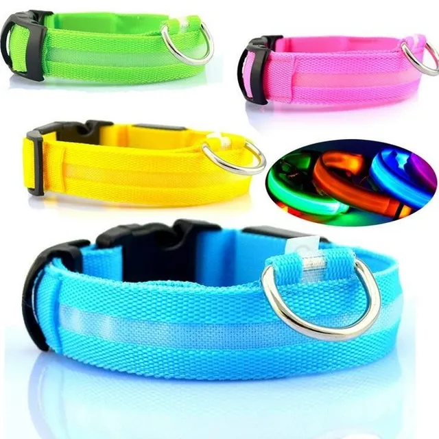 Illuminated LED dog collar