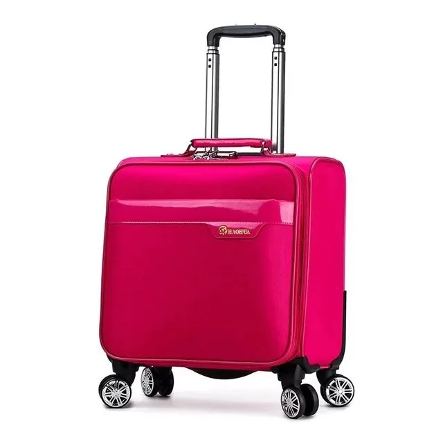 Travel suitcase on wheels Blair 1