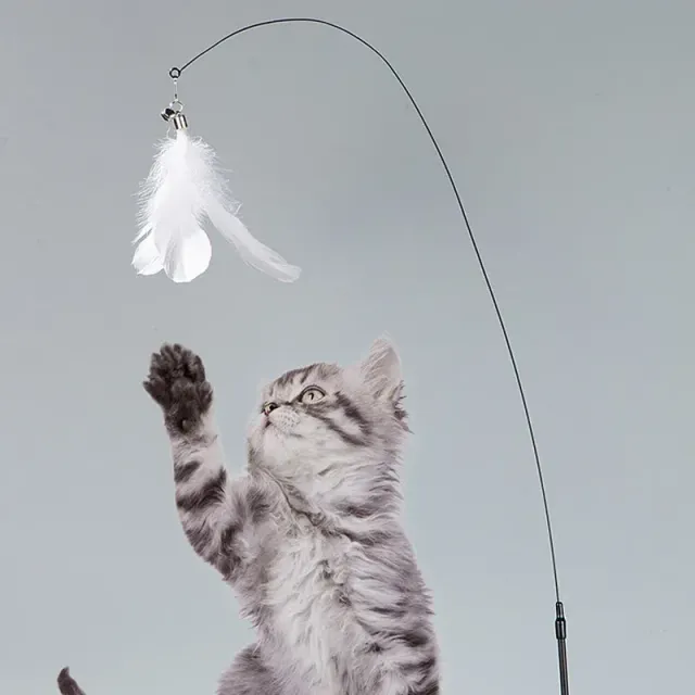 Jucărie interactivă pentru pisici cu pene pe băț