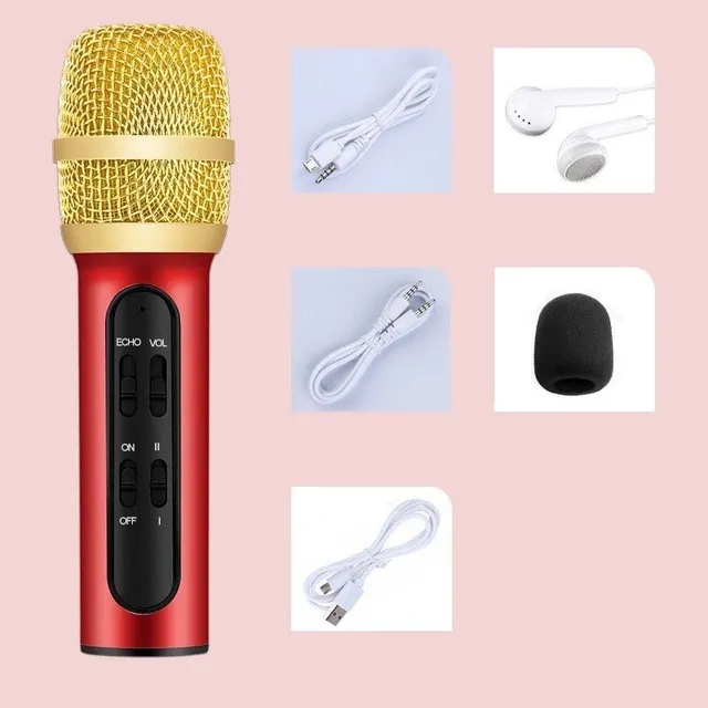 Hand microphone with accessories