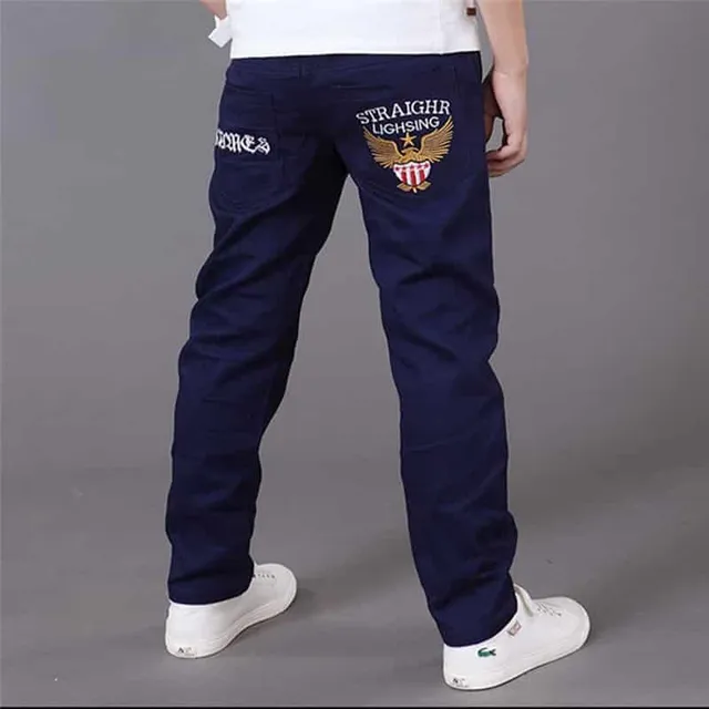 Pantaloni pentru băieți cu broderie