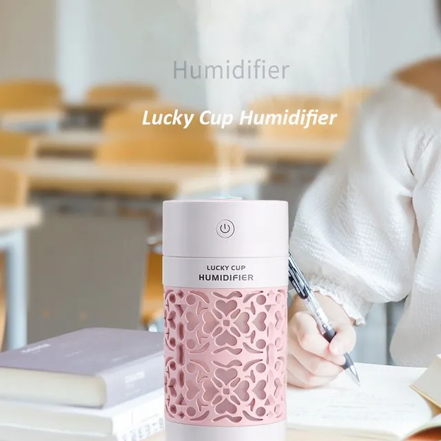 Fashion essential oil diffuser / humidifier with LED lighting