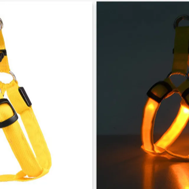 Reedog illuminated cages for dogs and cats