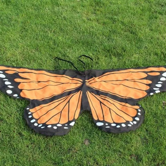 Dress Up Butterfly Wings
